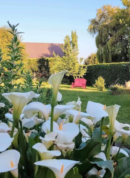 Le Jardin Des Lacs Gite Nature Et Spa Ardres Exteriér fotografie